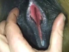 Zoo Sex Run