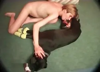 Doggy Style Sex: Dog Relaxes With A Big Cock