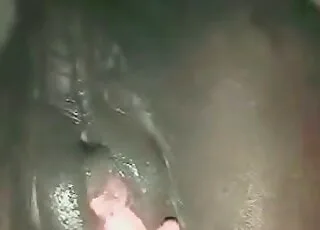 Pony gets freaky with zoophile in this unmissable zoo sex movie