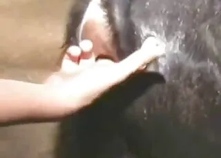 Farm hoe gets goat anal and fistin' in barn