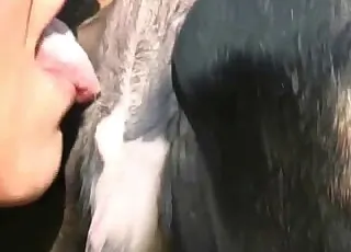 Mutt fuck with a snazzy babe and her cow