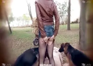 Aesthetic Shepherd penetrated by hungry amateur