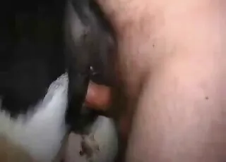 Thick cow gets screwed by a large fella in this long clip