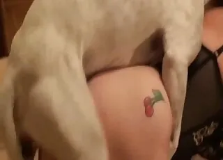 Playful babe sucks doggy dick in short zoo sex clip