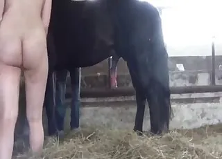Bouncy Boobed Bitch Gets Fucked by Horse in HD