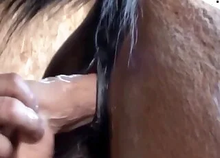 Mare pussy covered in thick cum layers - zoo sex scene with horse