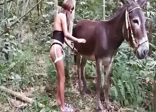 Horny women get fucked by a horse in this zoo sex scene