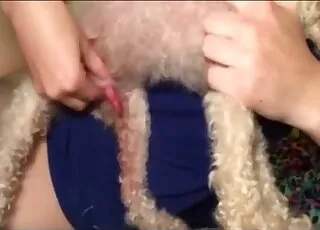 Sexy Animal Missionary Humping Clip - Zoo Sex animal sex Video
