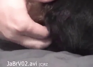 White dick gapes Rottweiler dog in close-up zoo sex clip