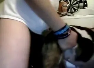 Dude drills bulldog pussy hole in short zoo clip