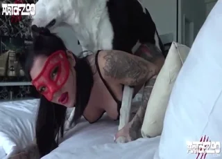 Brunette with tattoos and heels wants dog tongue