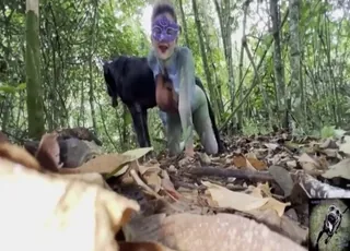 Hot doggystyle dog sex in the woods - wild zoo sex with a real animal in the forest