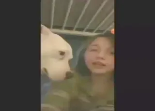 Teen vixen gets licked and fucked by her dog in zoo sex scene