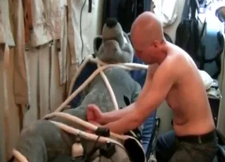 Zoosex: Bald Stud Jerks Off Bound Furry Hottie in animal sex Scene