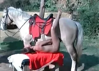 Horse cumming in pussy — accurate animal sex clip