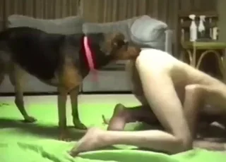 Hardcore Mutt Fuck: Dude Gets Deep Inside the Dog