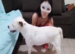 Dog Licking Girl s Pussy - Zoo Sex Compilation