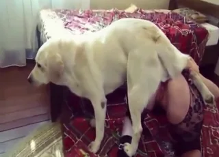 Horny Girl Sucks Off Beast in Zoo XXX Clip