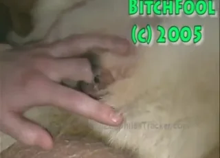 Zoo sex: Zoophile guy getting busy with a female dog hole