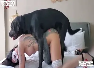 Brunette takes dog's hard cock in bootylitious zoo sex