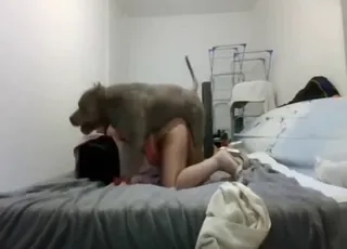 Slutty Woman Gets Railed on All Fours in this Zoosex Clip