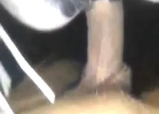 POV session with guy fucking a mare in the stable