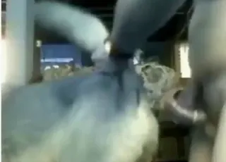 Male dog anal scene with hardcore sodomy and orgasms