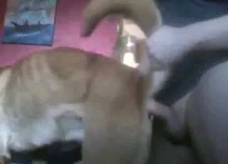 Dude gets rammed by male dog in awesome zoo sex clip