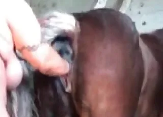 Deep fisting scene with farm animal in stall