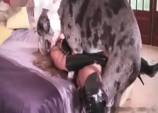 Hardcore doggy style nailing by a real dog