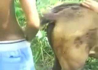 Good looking mare gets her hole fucked silly