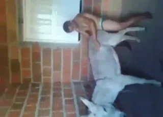 Amateur dude fucks a beast from behind in short clip