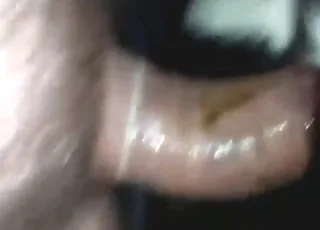 Cute dude dominates tight male calf holes in raw anal scene