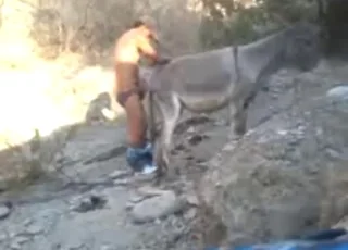 Mule gets a cumshot in fucked-up outdoor sex vid