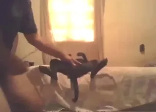 Moist pussy animal gets fucked deep for the 3rd time