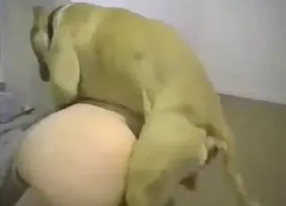 Fucked-up MILF gets knotted by large dog in intense sex scene