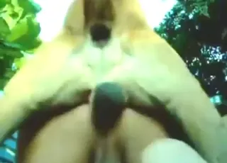 Hot Zoophile Gets Dog Fucked in Asshole - animal sex Scene with Animal