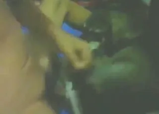 Sexy animal agrees to take his meaty dick in this zoosex clip