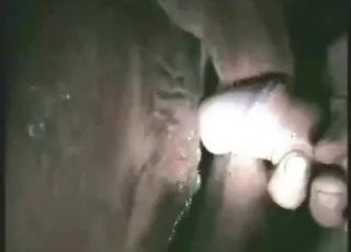 Cow getting anal and pussy fucked in tight closeup