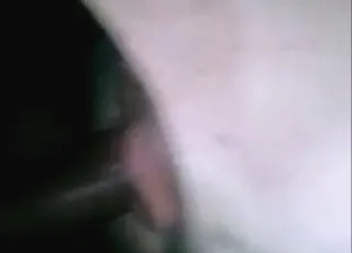 Man fucking a sow pig in animal sex porn scene