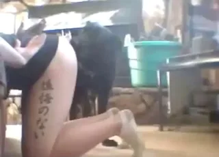 Dog fucks big round bitch deep in throat