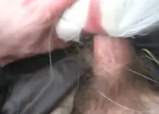 Guy Fucks Sexy Deer in Short Outdoor Clip