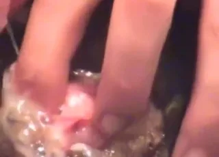 Dog takes huge creampie cumshot in animal sex scene