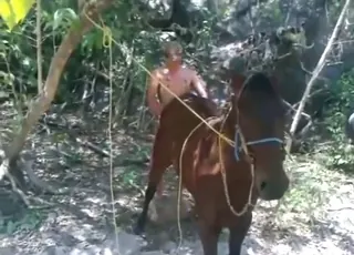 Dude Fucks Mare From Behind With Cock - Hot Zoo Sex Scene With Horse