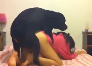 Hot Lady Bends Over For Good Dog Fuck In This Clip