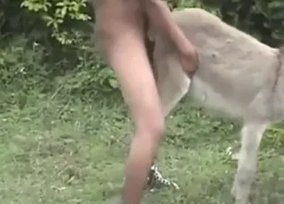 Donkey Sex Outside: animal sex Fuck From Behind