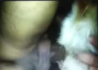 Guy Fucks Dog Ass From Behind in Short Clip