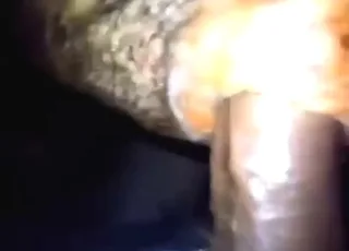 Hot bull fucker showing hands and fingers during sex