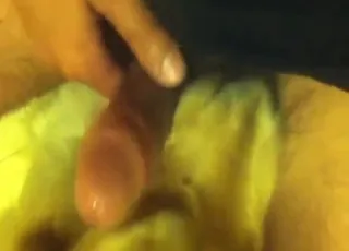 Mutt showing off with a nice boner in short clip