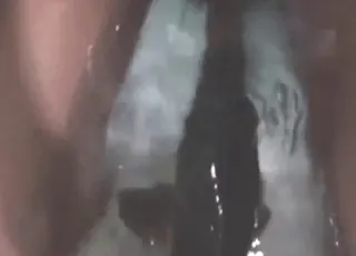 Slutty fish suckjob gets crazy in close-up